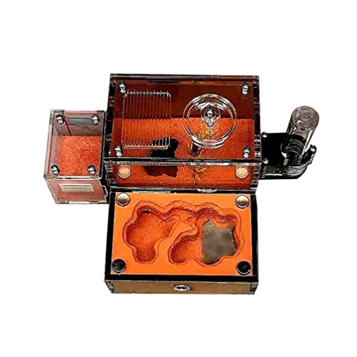 PengGengA Habitat de fourmis en acrylique transparent – Zone d'élevage et d'observation avec nid et accessoires (3 pièces)