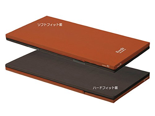 Amazon.co.jp: パラマウントベッド エバーフィットマットレス KE-571Q