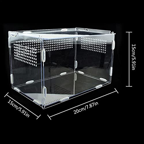WOTEG Reptiel voeden doos fokken doos,Draagbare acryl transparante insecten habitat Terrarium geval voor mini huisdier… - Afbeelding 4
