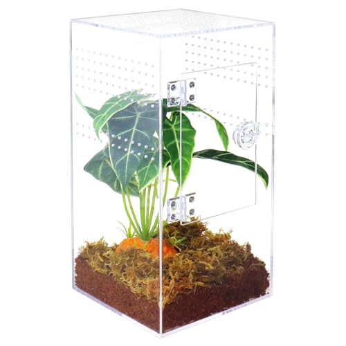 NANEEZOO Springspinnengehege mit Fronttür, 15,2 x 15,2 x 30,5 cm, Reptilien-Zuchtbox, Mikro-Habitat-Terrarium für kleine Baumbewohner, Reptilien, Spinnen, Mantis und Wirbellose
