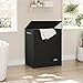 SOLEDI Double Laundry Hamper with Lid and Removable Laundry Bags - Large Dirty Clothes Hamper 2 Section - Collapsible Laundry Baskets for Bedroom, Bathroom, Laundry room, Apartment, Black
