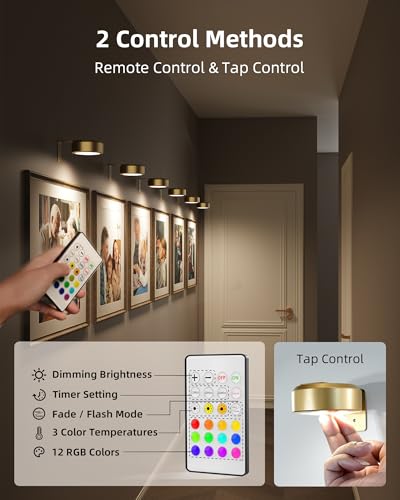 EZVALO Picture Lights for Wall, 2000mAh Rechargeable Battery Magnetic Poster Lights with 3 Color Temps & 12 RGB, Remote Dimmable Timer Painting Light, Wall Decor Light for Art Display, Frame (3 Pack)