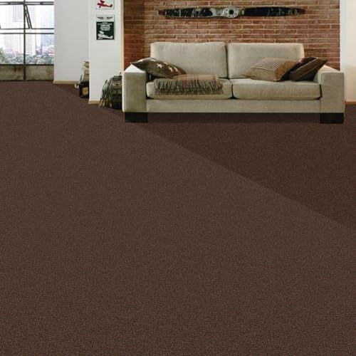 Image of FC Texture-2-C.Brown Carpet Luxurious Feel Floring for Residential, Commercial Office & Home and Sound Absorbing Durable Easy Clean Low Maintenance for High Traffic Areas
