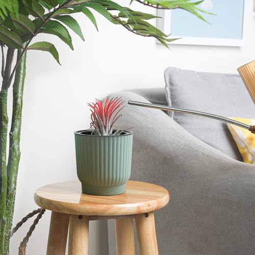 T4U Zelf bewaterende potten van 10 cm, 6 stuks, plastic plantenpotten met houder, vensterbank bloemenpotten voor alle binnen- en buitenplanten, Afrikaanse viooltjes (groen) - Afbeelding 5