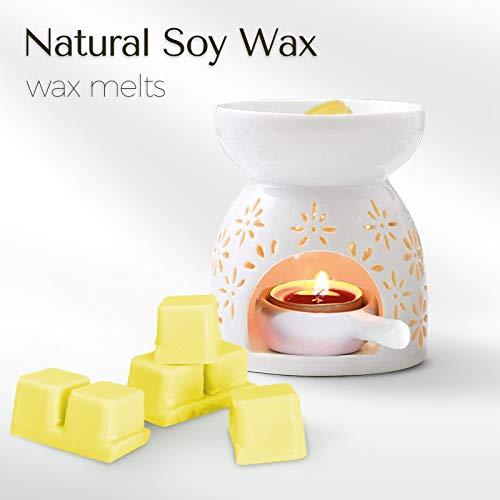 Scentorini Scented Wax Melts, Fall Wax Melts thumb #4