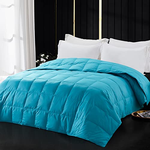 Globon Extra Lightweight Down Blanket Queen Size,Summer Comforter/Duvet Insert,10OZ,700 Fill Power with 8 Corner Tabs,Turquoise Blue