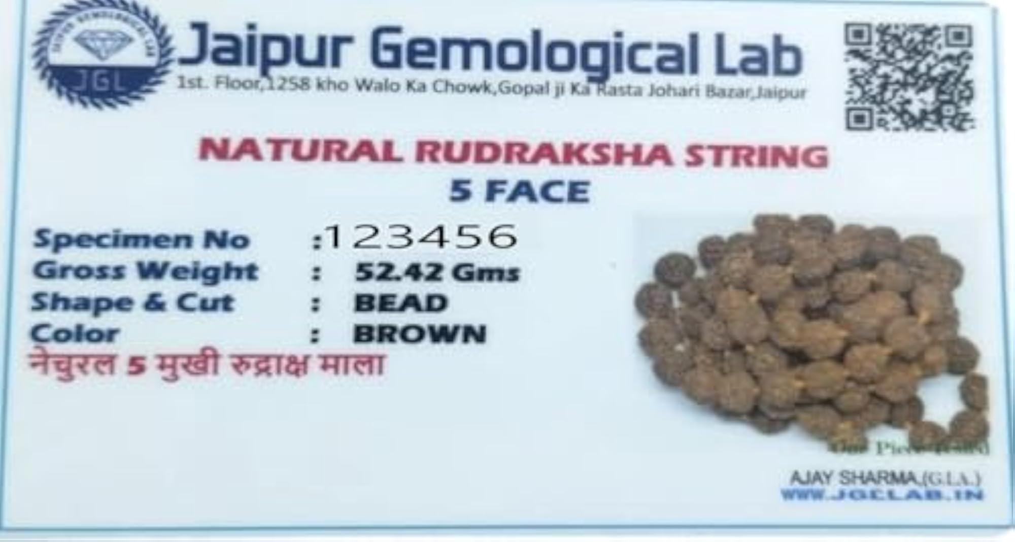 Genuine Original 5 Mukhi Rudraksha Maala, Certified