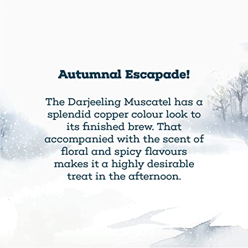 Image of Timeless Blends by The Hillcart Tales Darjeeling Muscatel Tea Bags 100 Pieces, Premium Black Tea Leaves With Delicious Musky Floral Overtones Flavour, Contains Antioxidants Helps Relaxation, 200 gms