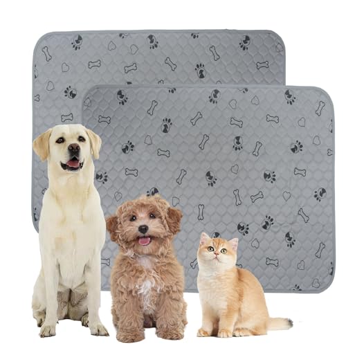 Image of SORKUT Washable Pee Pads for Dogs, 2-Pack 48x48in Reusable Puppy Pads, 100% Waterproof and Non-Slip Whelping Pads, Super Absorbent Pet Training Pads for Potty Training, Playpens, Crates and Couches