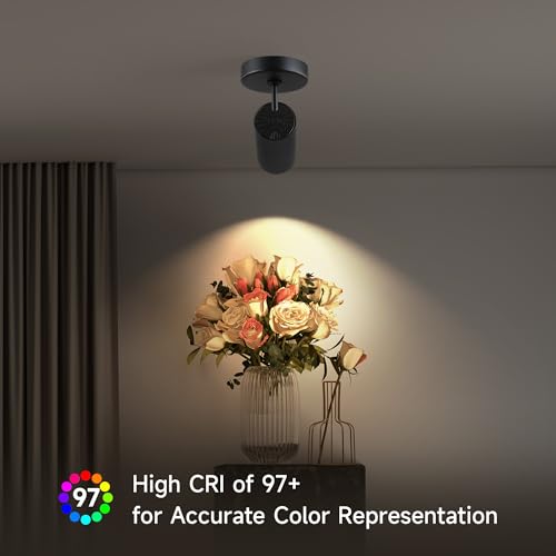 Image of LED Dimmable Indoor Ceiling Spotlight, Hardwire Directional Fixture | 12W Adjustable Wall Surface Accent Lamp for Home Corridor Picture Artwork, 360 Rotatable Directional Spot Light, Black 4Pcs