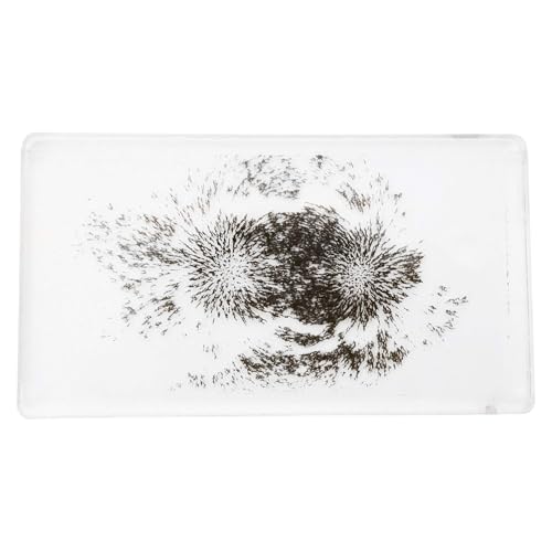 Image of MAGFLD: Magnetic Field Demonstration, 4 x 3