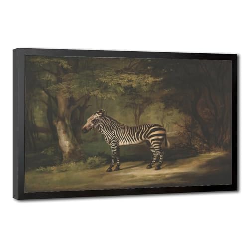 Zebra de George Stubbs décoration murale pour bureau style cabinet de curiosités avec cadre