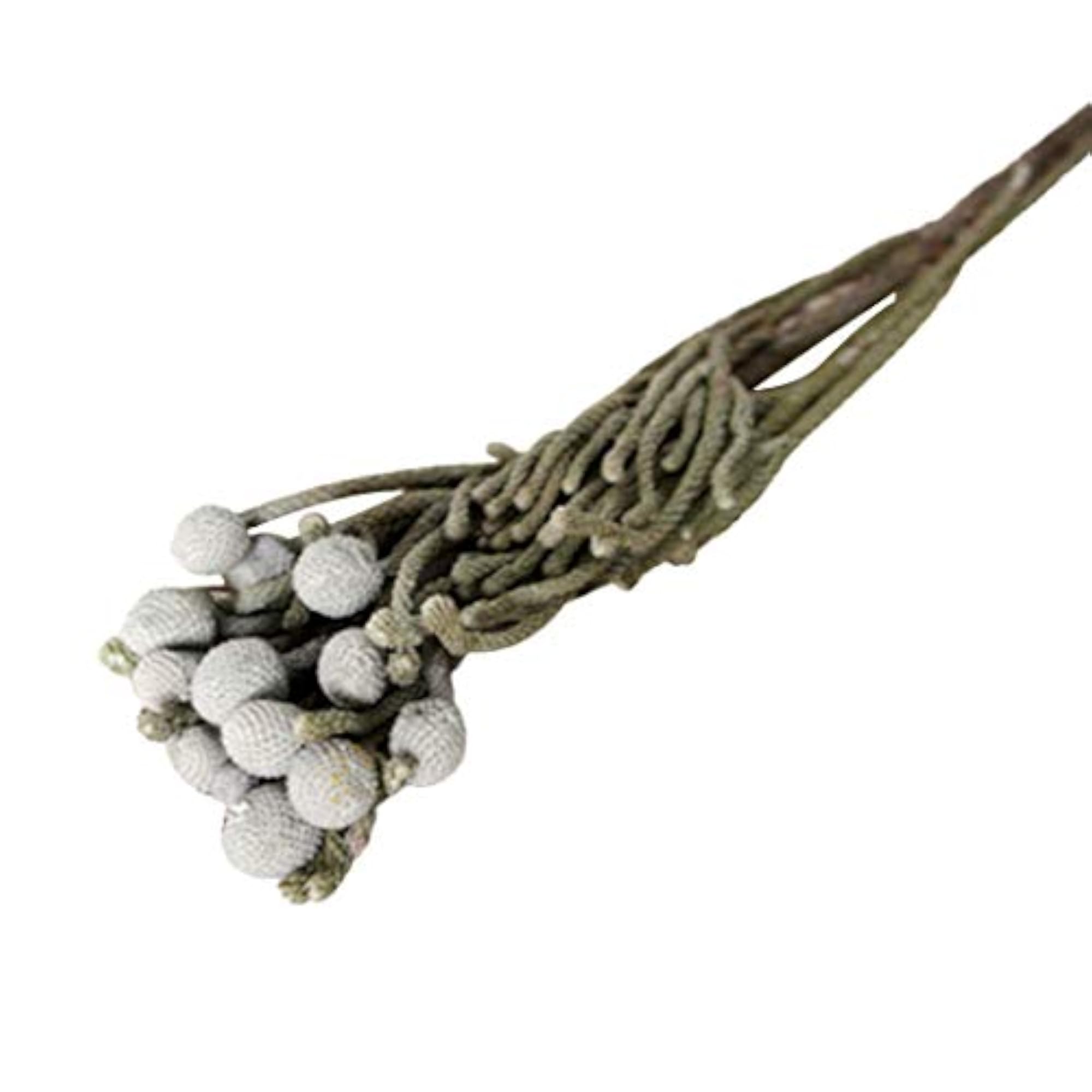 Dried Flower Decorative Stem Branch for Crafts