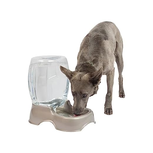 Petmate Pet Cafe Waterer Cat and Dog Water Dispenser 1.5 gallon, Pearl Tan