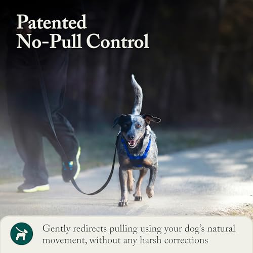 Image of Sporn No Pull Dog Harness, Durable Nylon Mesh Harness for Medium Dogs, No Choke Design, Padded Restraint Sleeves, Adjustable Fit, Easy On /Off, Ideal for Medium Breeds, Blue