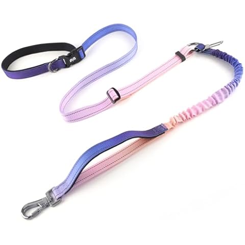 QQPETS Hands Free Dog Leash, Adjustable Waist Leash for Dog Walking, Versatile Crossbody Bungee Dog Running Leash with Car Seat Belt Buckle for Medium and Large Dogs Cover
