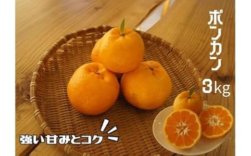 湯の花 ポンカン3kg [ ポンカン みかん 果物 果物 フルーツ 旬 柑橘 甘い 新鮮 伊豆 南伊豆 ]