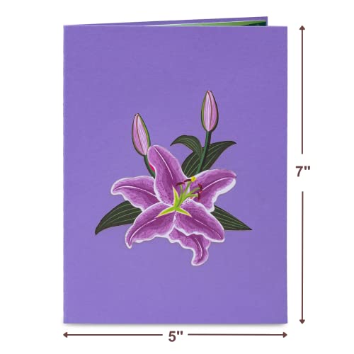 Paper Love 3D Purple Lilies Pop Up Card, Gift for Birthday, Wedding, Anniversary, Thank You, Get Well, All Occasion or Just Because - 5\" x 7\" Cover - Includes Envelope and Note Tag