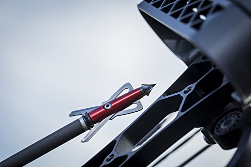 image for RAGE Chisel Tip 2 Blade Broadhead, 100 Grain with Shock Collar Technol