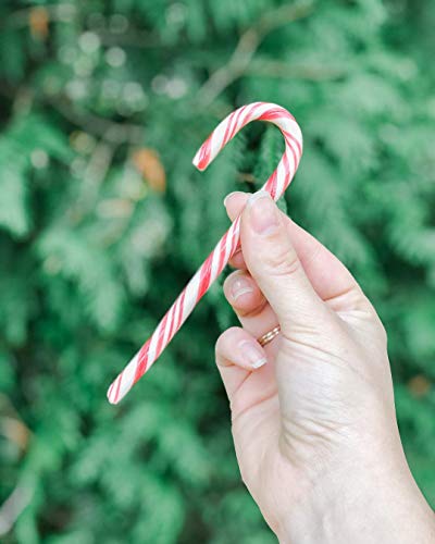 Image of YumEarth Organic Candy Canes, Full Size, 10 Canes Per Pack - Allergy Friendly, Non GMO, Gluten Free, Vegan (Pack of 5)