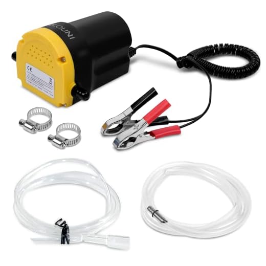 QLOUNI Bomba Extractora de Aceite Eléctrica 12V 60W para Coche Extractores de Fluidos Cambio Diesel, Aceite de Motor