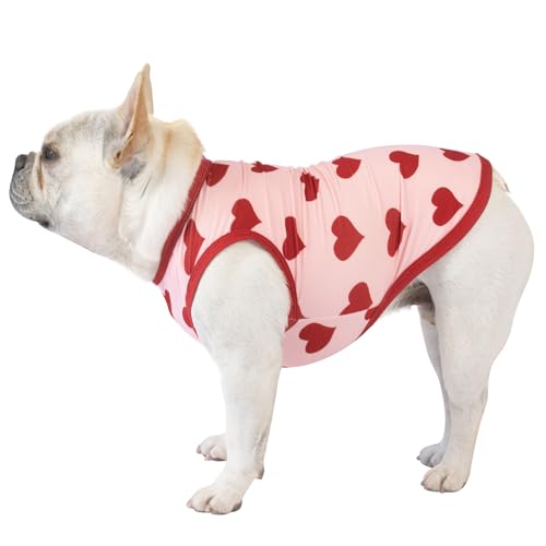 Image of CuteBone Dog Shirts 2-Pack Soft Pet Clothes Breathable Summer Vest for Small Puppy and Stretchy Cat Apparel