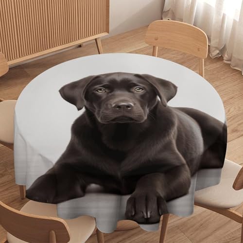 Nappe ronde décorative extérieure en polyester imprimé de chien - 5
