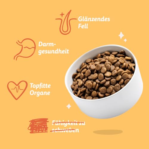 Edgard & Cooper Hundefutter trocken Getreidefrei für Medium Adult Hunde (7kg), frisches Huhn, ausgewogene Ballaststoffe für die Darmgesundheit, mit Apfel, Süßkartoffel und Grünkohl, nie Fleischmehl