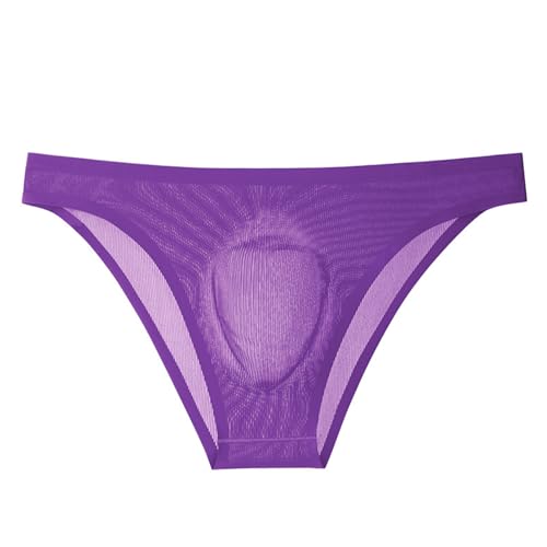 Men's Brief Underwear Mesh See Through Sexy Underpants Ice Silk Thread Underwear U-shaped Pouch Brief Shorts