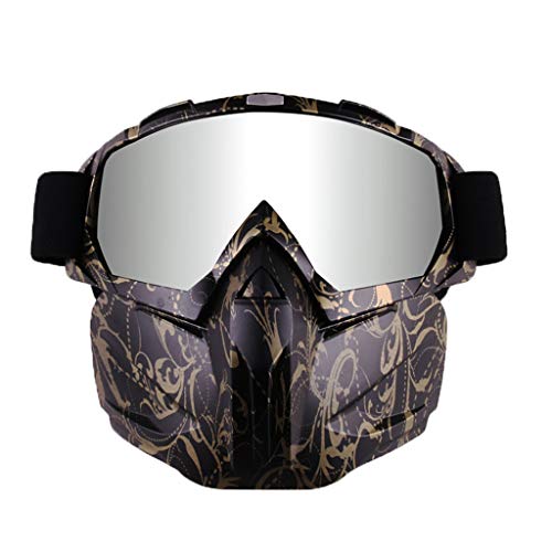 Elite Motorcycle Helmet Goggles, Detachable Dust Mask, Fog-proof Warm Ski Goggles Mouth Filter