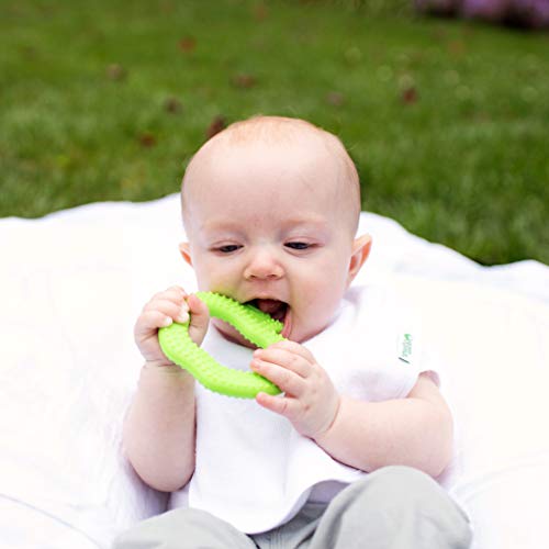 Green Sprouts Fruit Teether Made From Silicone (2Pk) | Soothes Gums & Promotes Healthy Oral Development | Soft, Flexible Silicone Eases Pain, Easy To Hold, Gum, & Chew, Dishwasher Safe #TOP3