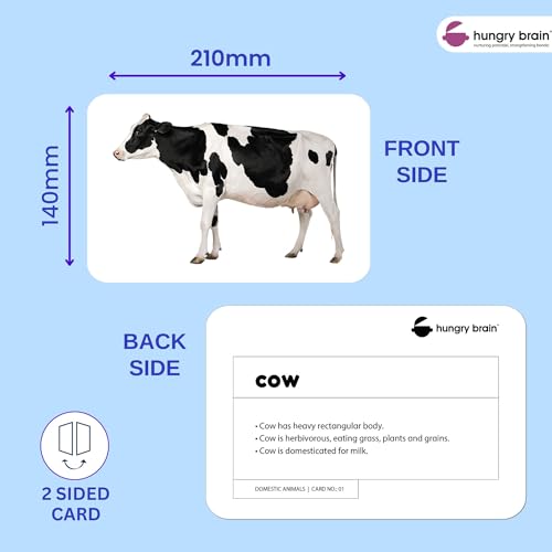 Image of Hungry Brain Domestic Animals Kids Flash Cards | Early Learning Picture Cards | Montessori Educational Toy | Age 3 Month to 6 Years
