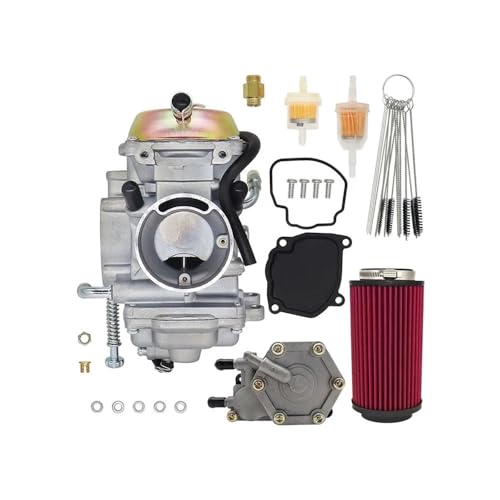 Carburateur Ra 500 ATV améliore le démarrage à froid et stabilise le ralenti moteur
