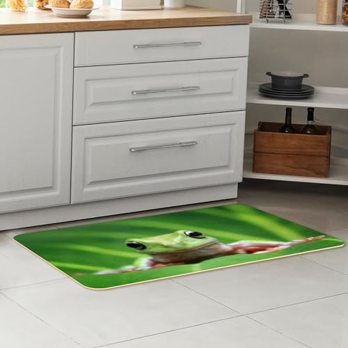 Alfombrillas de cocina antideslizantes y lavables de diseño original para hogar 7