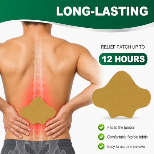 Image of Pain Relief Patches, 48 Pcs Back Pain Relief, Wormwood, 12-Hour Use