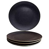 Qlans Elegant frosted plate 10inch ceramic restaurant plate for brunch, appetizers, dinner, steaks a