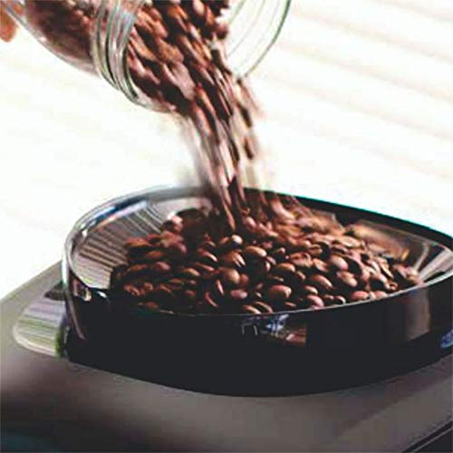 Cafeteira Gaggia Besana-220v