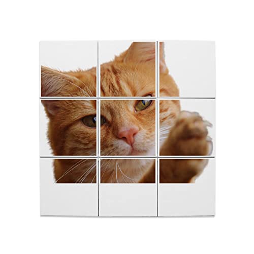 Carreaux Céramique Décoratif Chat Roux 60x60 faïence murale salon