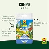 Zoom IMG-1 compo npk blu concime universale Zoom IMG-1 compo npk blu concime universale