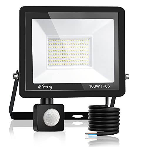 Spot LED extérieur avec capteur PIR 10000LM puissant et étanche IP66 blanc froid