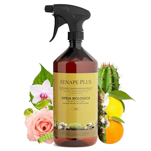 SENAPE-PLUS® 1Lt Pronto Uso Olio di Senape Potente per Insetti Parassiti | Afidi, Cocciniglie, Bruchi, Acari, Tignole, Tripidi, Larve | COLTIVAZIONE BIOLOGICA DI ALTA QUALITÀ