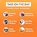 Zipfizz Daily Energy Drink Powder, Orange Cream, 20 Pack | 3-in-1 Sustained Energy, Rapid Hydration, and Essential Vitamins | Sugar-Free | Electrolyte Powder | Contains Vitamin B-12 & Antioxidants