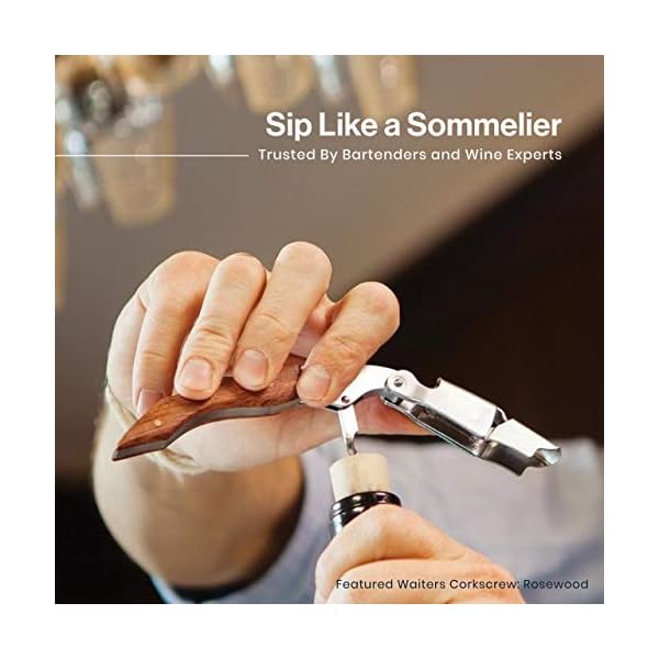 HiCoup Allinone Waiters Corkscrew, Bottle Opener and Foil Cutter