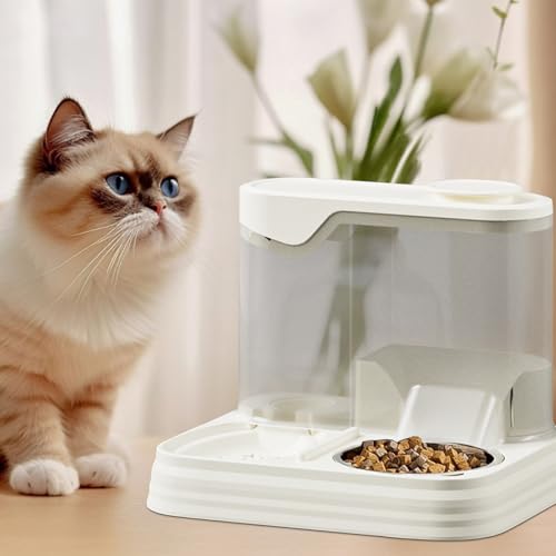 Distributeur d'eau pour chat et gamelle de nourriture grande capacité pour chiot
