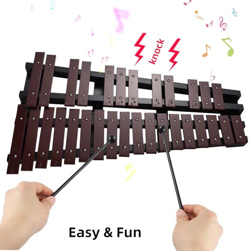 Glockenspiel xylophone 30 notes pour débutant avec sac de transport