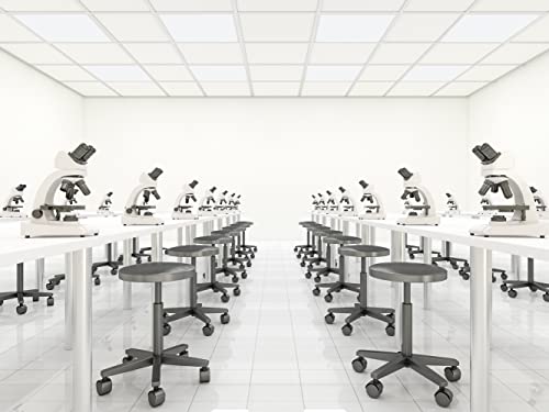 Image of Lithonia Lighting 2x2 LED Flat Panel Light, 3300 Lumens, 3500K /4000K /5000K