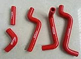 Lieferung in Schachtel FSMOTO 5 x Silikon-Kühlerschlauch für 1992–2013 A-prilia RS125 RS 125 Tuono Extrema RS-125 2012 2011 2010 (rot)