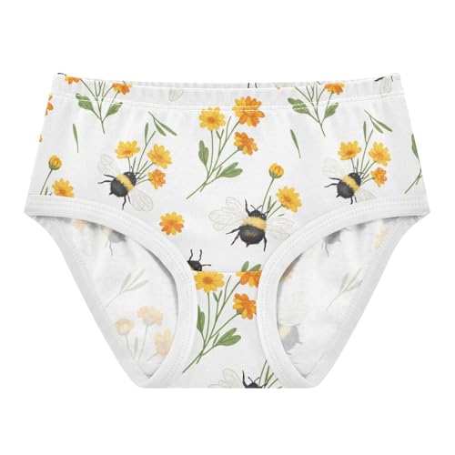 Toddler Girl Briefs, Bees Wings Cotton Girls Underwear, 2T–8 Years