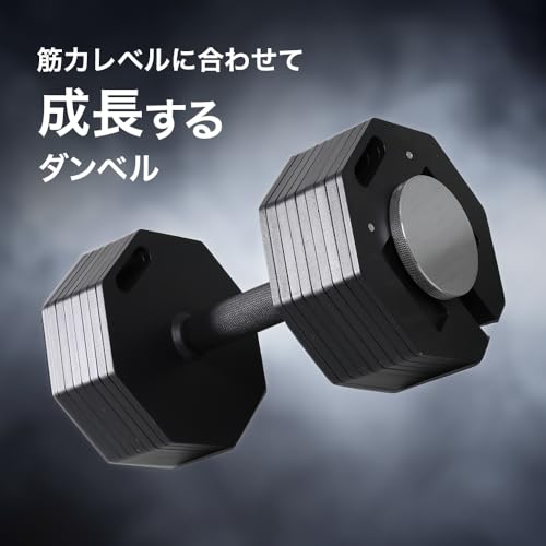 HAIGE バーベルラック HCFB-01 Amazon.co.jp: HAIGE(ハイガー): トレーニング機器