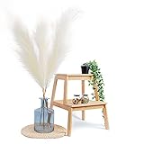 Rokozzi Artificial Pampas Grass - Large Faux Fluffy White Grasses | 45' Tall, 3 Stems | Boho Cream...
